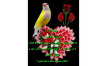 فال و طالع بینی روزانه 8 خرداد 1403